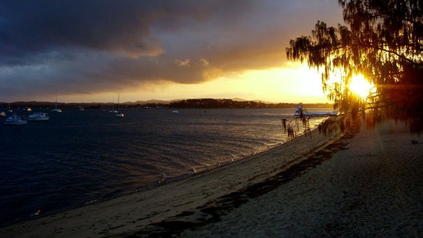 Best Local Spots Coochiemudlo Island